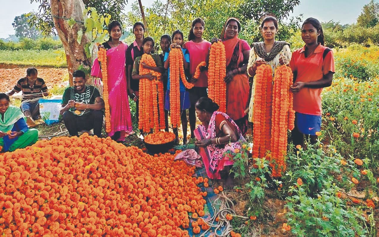 खूंटी में गेंदा फूल का तीन करोड़ रुपये से अधिक का हुआ कारोबार, हर घर में फैल रही सुगंध