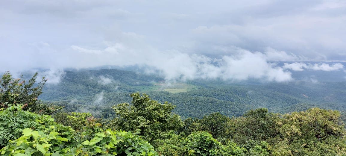 सारंडा अभयारण्य पर एनजीटी ने झारखंड सरकार से मांगी रिपोर्ट