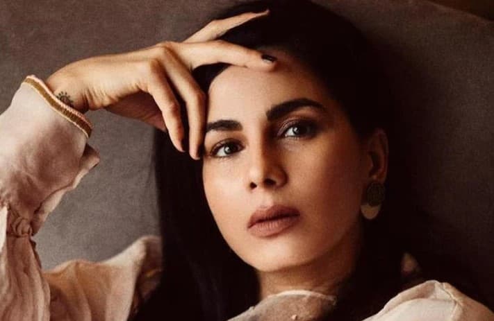 कीर्ति कुल्हारी ने टूटी शादी पर तोड़ी चुप्पी, बोलीं इसे बचाने की बहुत कोशिश की लेकिन नहीं हो पाया