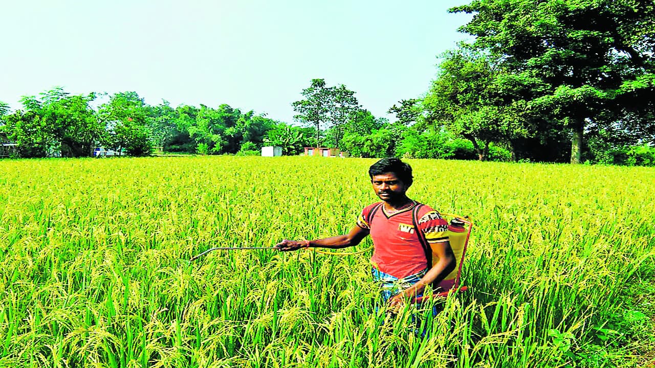 परंपरागत कृषि में आधुनिक तकनीक का समावेश