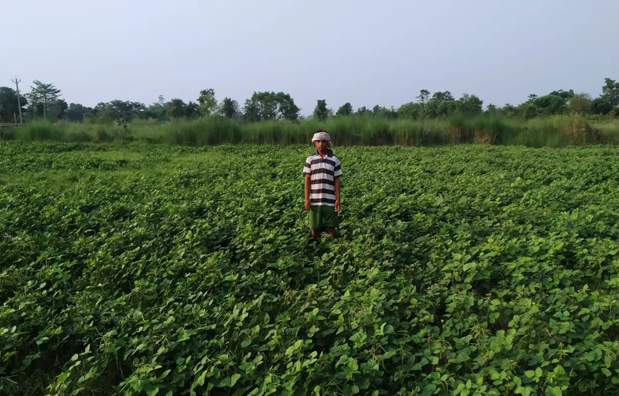 सब्जी की खेती के साथ बतख व मत्स्य पालन के जरिये स्वावलंबी बन रहे मांगुडीह गांव के किसान