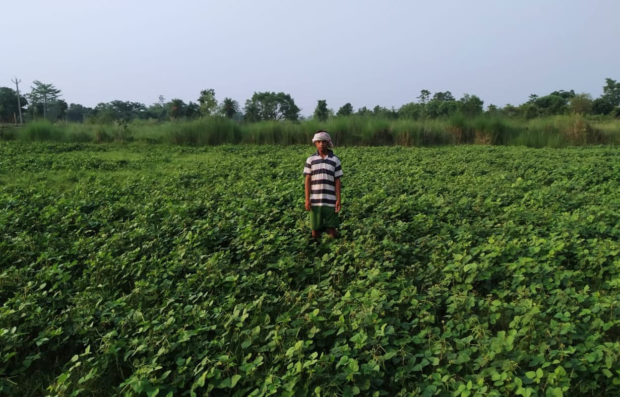 सब्जी की खेती के साथ बतख व मत्स्य पालन के जरिये स्वावलंबी बन रहे मांगुडीह गांव के किसान