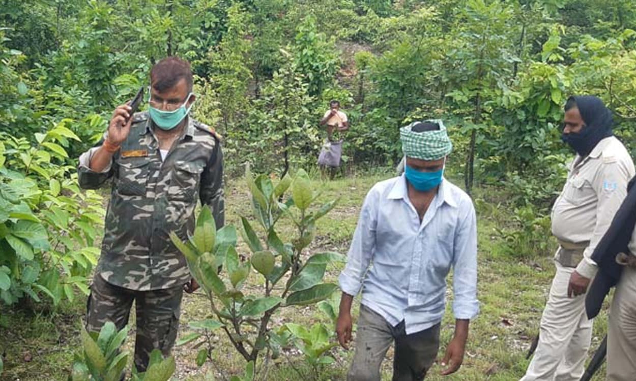 कुजू के पुटकाबेड़ा जंगल में मिला युवक का शव, पुलिस छानबीन में जुटी