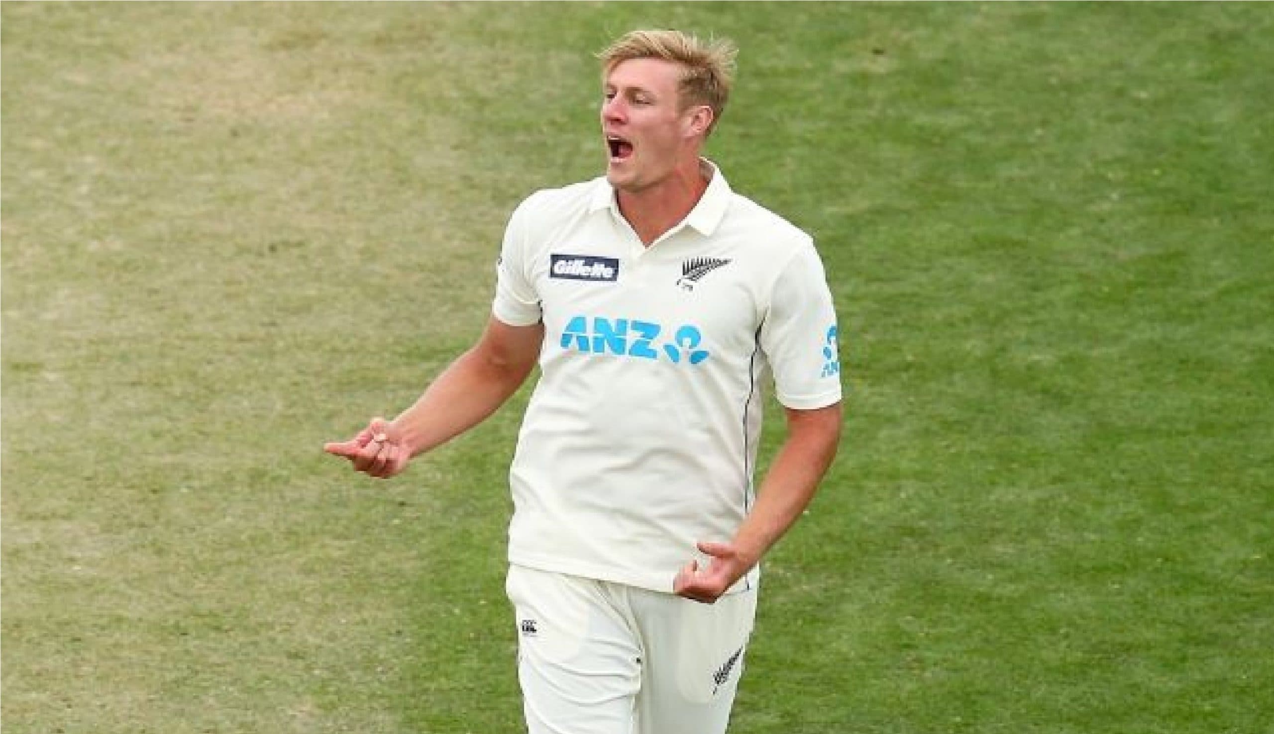 WTC Final : तनाव से बचने के लिए बाथरूम में छिप गये थे जैमीसन, भारत को हराने में निभायी थी बड़ी भूमिका