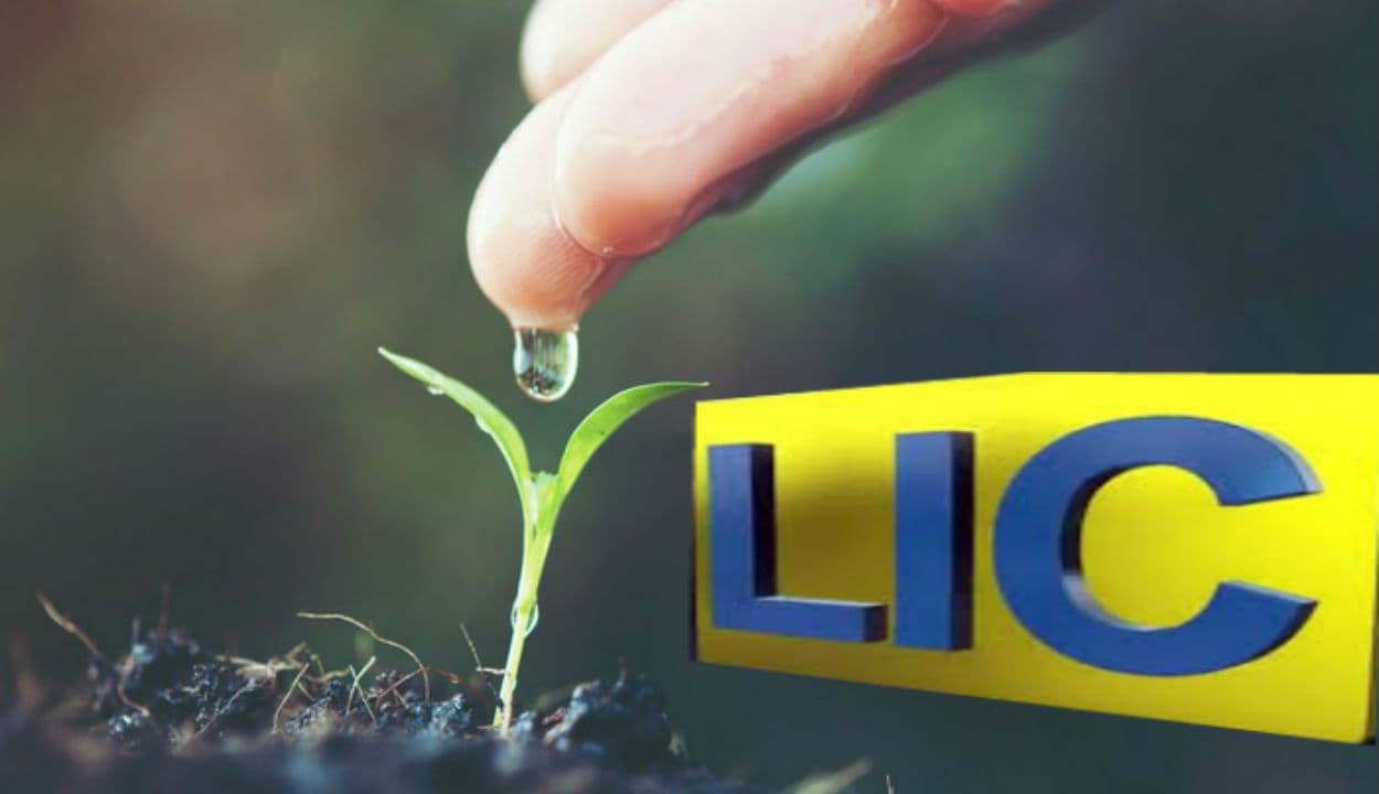 LIC News: सालों से एलआईसी में फंसा पैसा अब निकालने का मौका, भूला पैसा पाने के लिए ऐसे करें उपाय, सीधे अकाउंट में आएगा पैसा