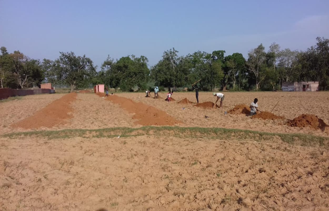 बिरसा हरित ग्राम योजना : लोहरदगा के गांवों में दिखेगी हरियाली, 415.8 एकड़ में योजना की मिली स्वीकृति, कार्य शुरू