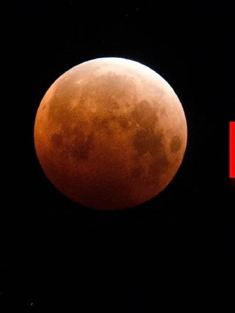 चंद्र ग्रहण काल में गर्भवती महिलाओं को भूलकर भी नहीं करना चाहिए ये काम, बरते सावधानी