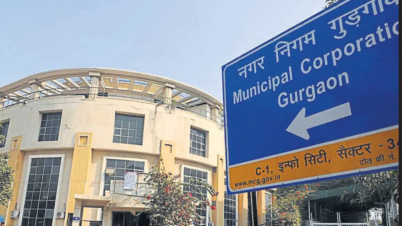 Gurugram: कुत्तों पर उपभोक्ता फोरम के आदेश के खिलाफ अपील कर सकता है गुरुग्राम नगर निगम