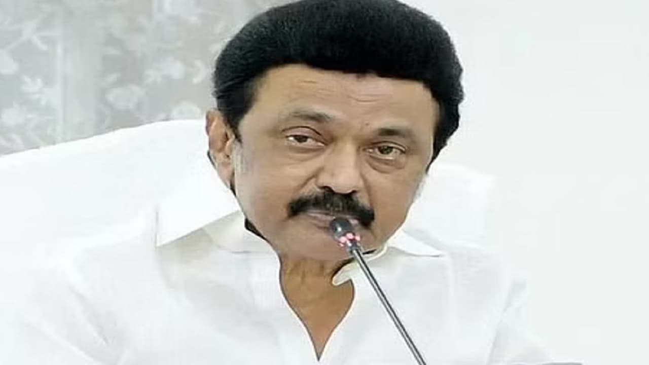 Tamil Nadu Cabinet Decisions: ऑनलाइन गेमिंग पर लगेगा प्रतिबंध, स्टालिन सरकार का बड़ा फैसला