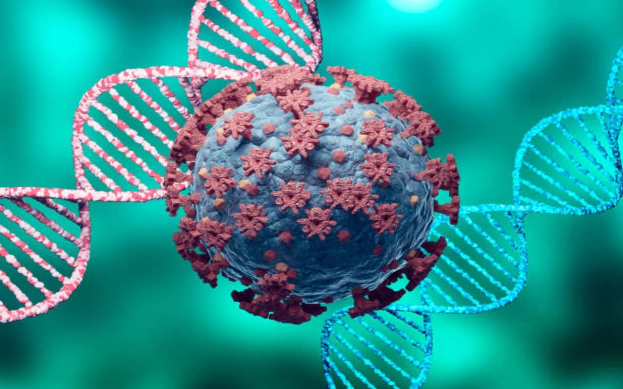 सावधान ! कोविड 19 से भी डेंजरस है Disease X महामारी के रूप में बरपा सकती है मौत का कहर