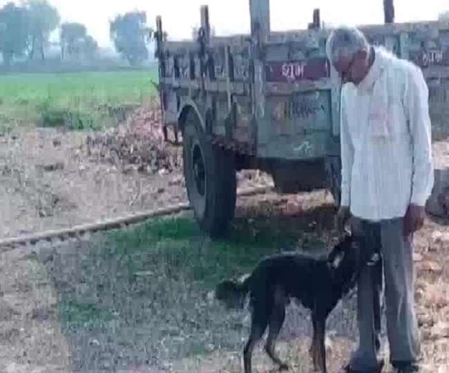 बेटे के रवैये से नाराज किसान ने उठाया बड़ा कदम, पालतू कुत्ते के नाम कर दी अपनी संपत्ति