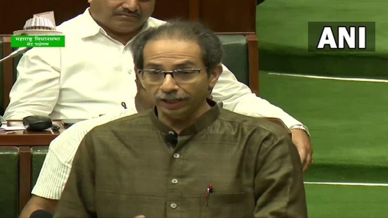 Maharashtra: नवाब मलिक के इस्तीफे की मांग पर भड़के CM उद्धव ठाकरे, बोले- हमें जेल में डालना है तो डाल दो