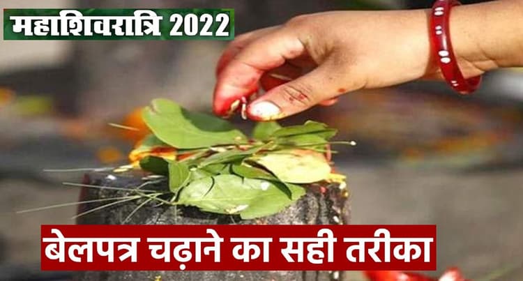 MahaShivratri 2022: महाशिवरात्रि पर ऐसे करें बेलपत्र का प्रयोग, जानें इसे तोड़ने के नियम