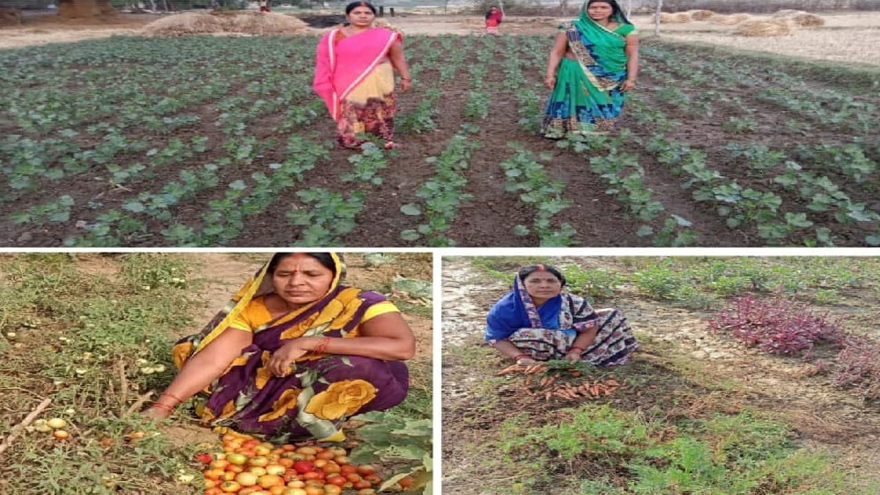 झारखंड में बिरसा हरित ग्राम व दीदी बाड़ी योजना से ग्रामीणों की बदल रही जिंदगी, मनरेगा बन रहा वरदान