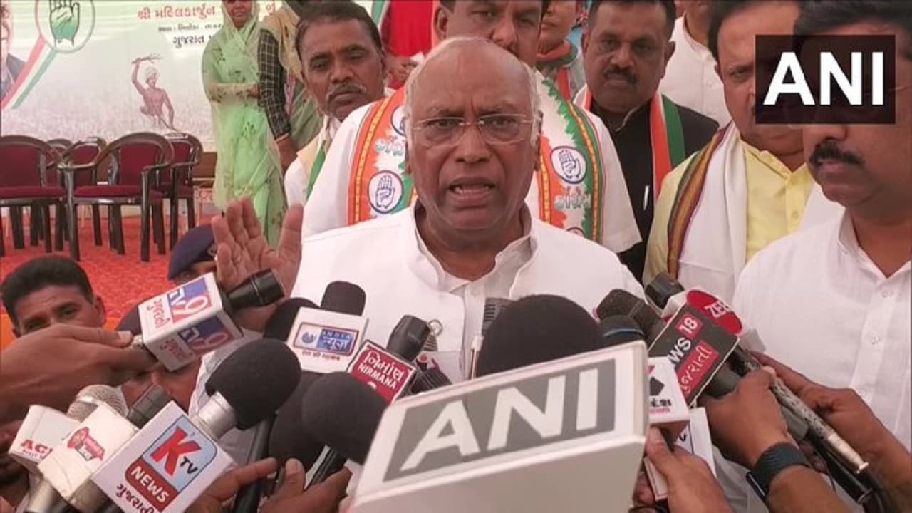 Gujarat Election 2022: मल्लिकार्जुन खरगे का दावा, गुजरात में बहुमत में आएगी कांग्रेस, बनेगी हमारी सरकार Gujarat Election 2022: मल्लिकार्जुन खरगे का दावा, गुजरात में बहुमत में आएगी कांग्रेस, बनेगी हमारी सरकार