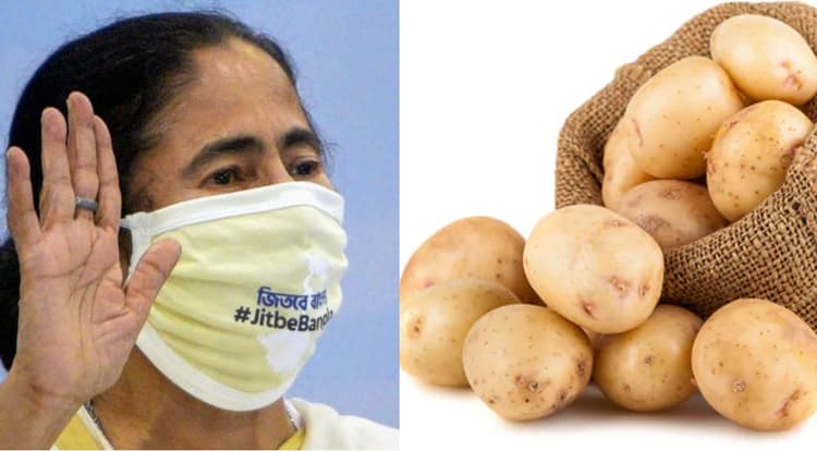 बंगाल की ममता बनर्जी सरकार ने आलू की अधिकतम कीमत तय की, तो व्यापारी बोले...