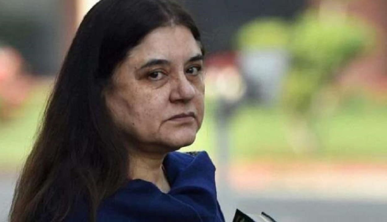 फोन पर मेनका गांधी ने पशु चिकित्सक को दी गाली!, सोशल मीडिया पर ट्रेंड हो रहा ऑडियो, जानें क्या है पूरा मामला