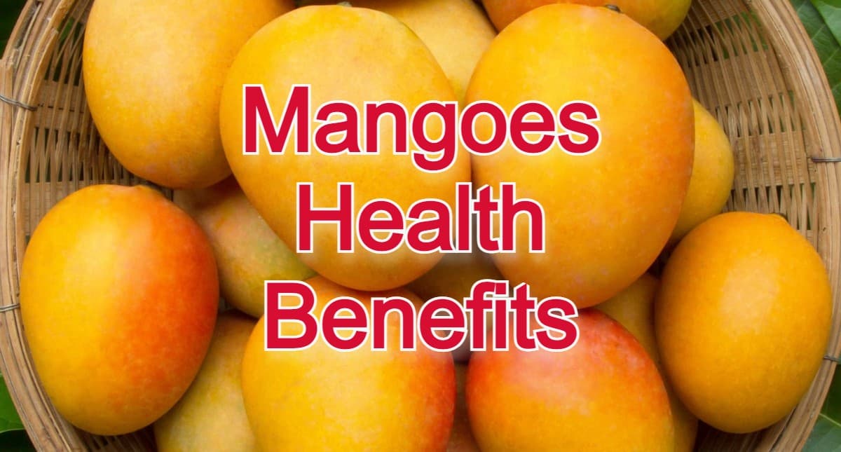 Mangoes Health Benefits: खाने में स्वादिष्ट ही नहीं सेहत के लिए भी बेहद फायदेमंद होते हैं आम, जानें