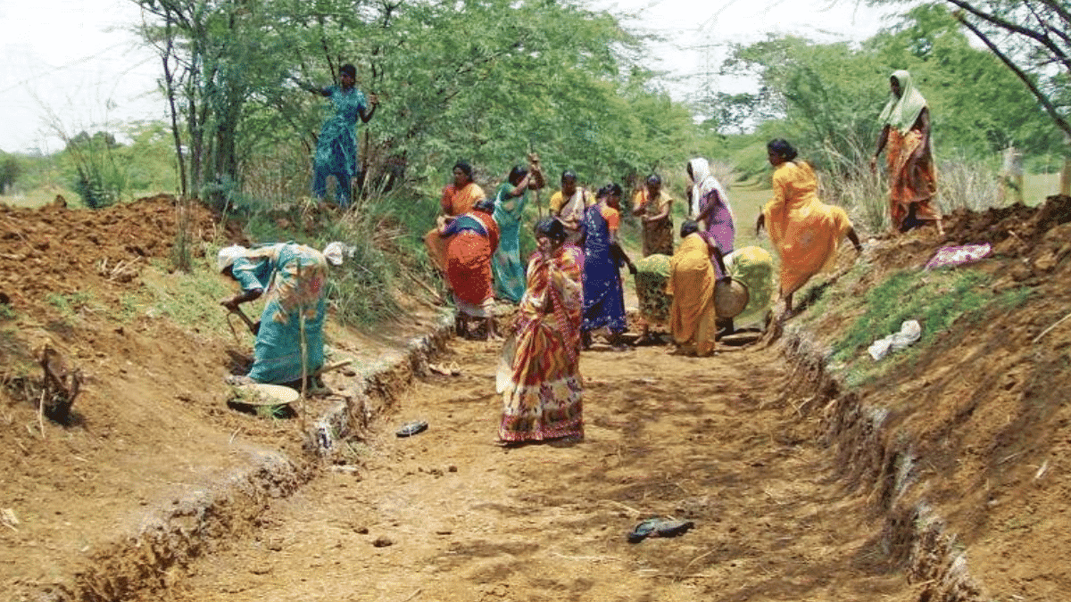 ग्रामीणों की आस, मनरेगा से विकास: झारखंड के वंचित परिवारों के लिए कितना मददगार साबित हुआ ये अभियान ग्रामीणों की आस, मनरेगा से विकास: झारखंड के वंचित परिवारों के लिए कितना मददगार साबित हुआ ये अभियान