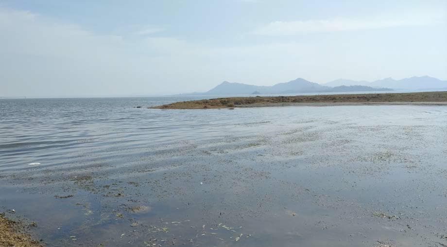 दुमका के मसानजोर डैम में नौका पलटी, एक ही परिवार के चार लोग सहित पांच डूबे, एक बचकर निकला