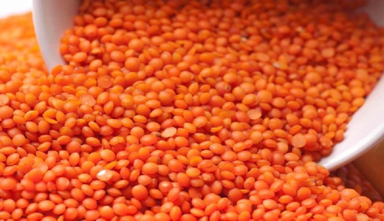 Masoor Dal Price: गरीब की थाली से नहीं गायब होगी दाल, मोदी सरकार ने उठाया जबरदस्त कदम, सुनकर झूम उठेंगे आप