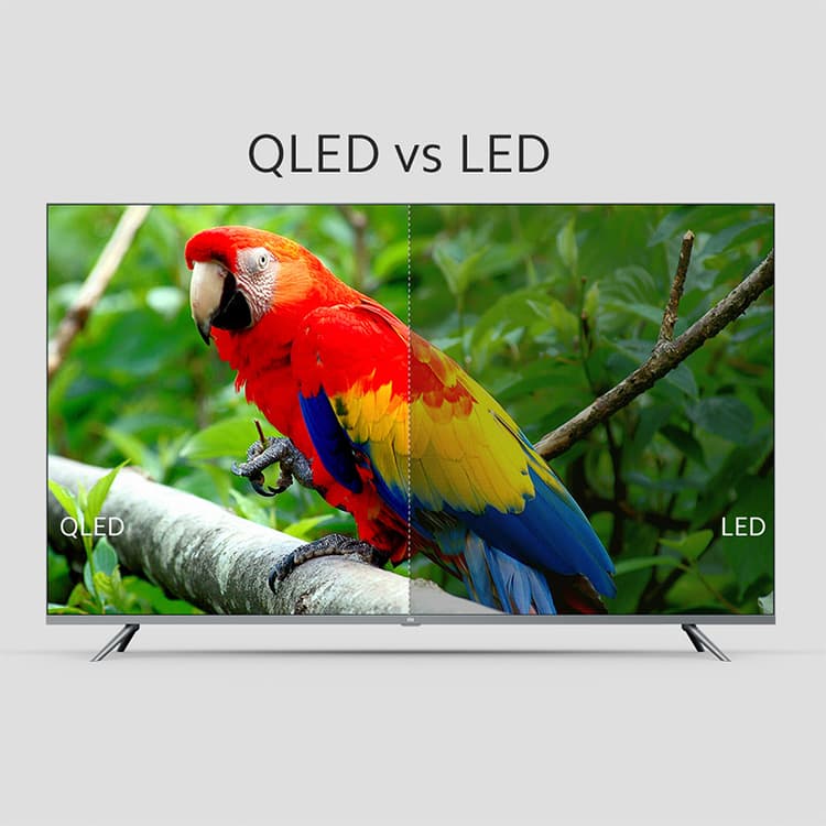 Xiaomi लायी 55 इंच का नया QLED TV, इसकी कीमत और खूबियां खुश कर देंगी