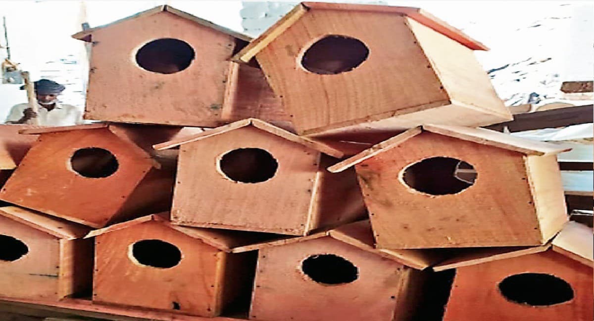 गुमला के जंगलों और डैमों में पहुंचे हजारों प्रवासी पक्षी, संरक्षण के लिए वन विभाग ने बनाया ये प्लान