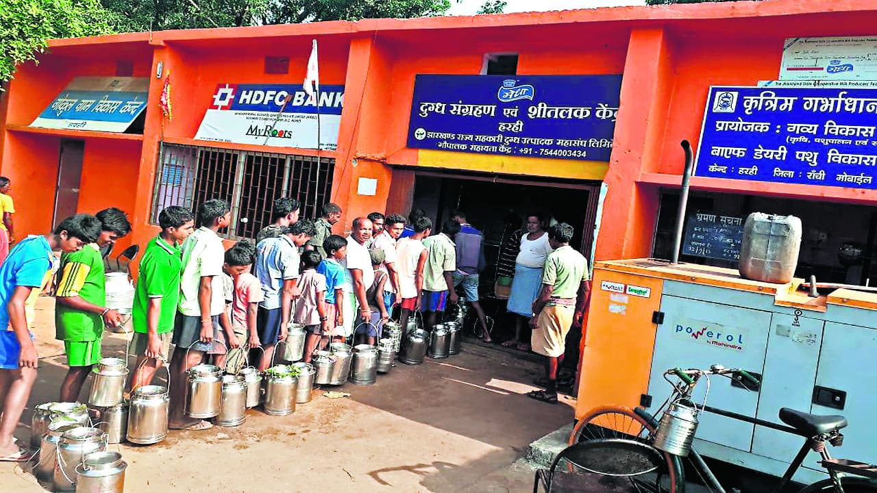 झारखंड में डेयरी उद्योग के मामले में रांची है अव्वल, पूरे राज्य में 22 हजार से अधिक लोग हैं जुड़े