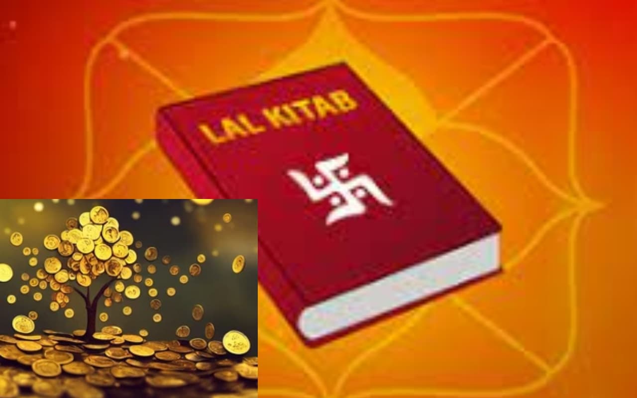 Money Remedies: सोने से पहले अपने तकिये के पास रख लें बस ये एक चीज, धन की परेशानी हो जाएगी खत्म