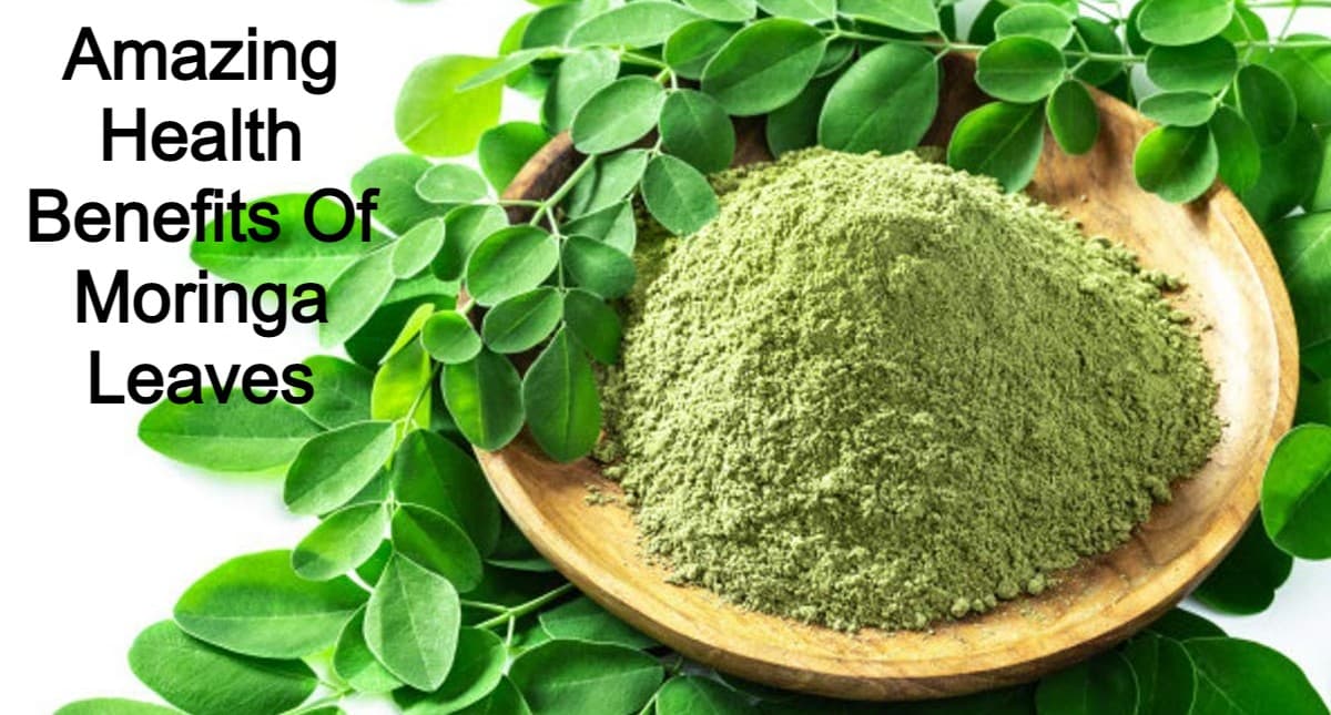Moringa Leaves Benefits: क्लियर स्किन से लेकर हेल्दी हार्ट तक, मोरिंगा की पत्तियों के हैं कई फायदे