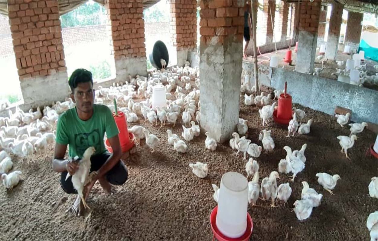 मांडू में मुर्गी पालन कर आत्मनिर्भर बन रहे युवा