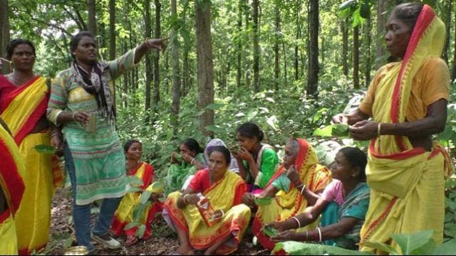 जंगल की शेरनी कांदोनी सोरेन से डरते हैं जंगल माफिया