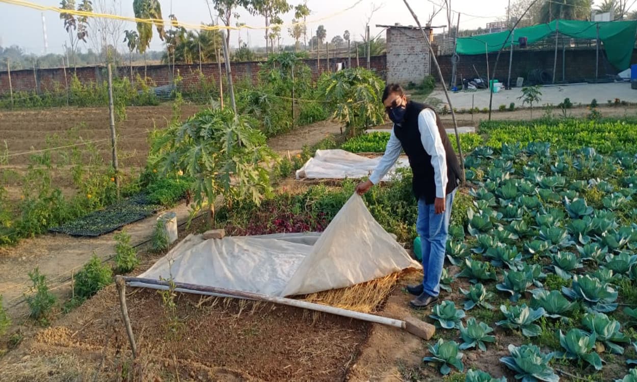कोडरमा के चोपनाडीह का है अपना बीज व चारा बैंक, खेती की नयी तकनीक ने बदली गांव की तस्वीर