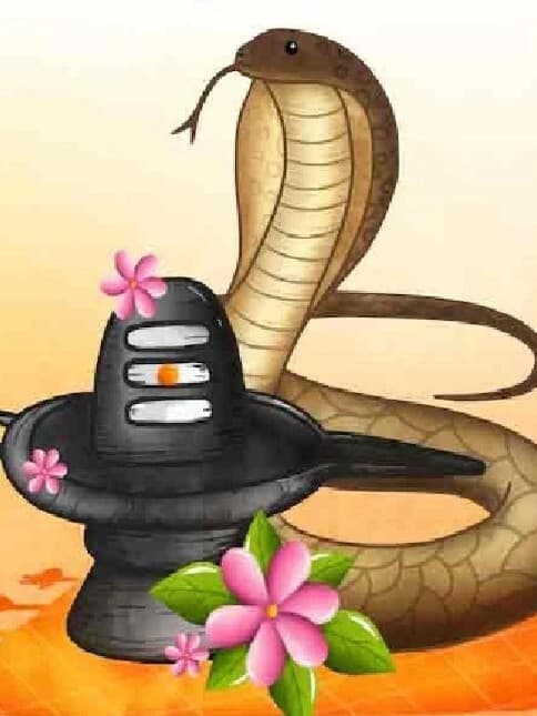 नाग पंचमी पर आज भूलकर भी ना करें ये गलतियां
