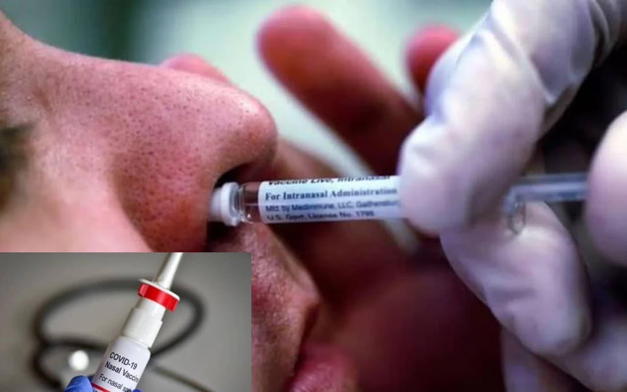 Nasal Covid Vaccine, कोवैक्सीन इंजेक्शन से कितना दमदार होगा यह टीका, दर्द-चूभन से मिलेगा छुटकारा?