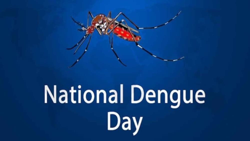 National Dengue Day: बच्चों को तेजी से शिकार बनाता है डेंगू, जानें यूपी में कितनी है मृत्यु दर, बचाव के उपाय National Dengue Day: बच्चों को तेजी से शिकार बनाता है डेंगू, जानें यूपी में कितनी है मृत्यु दर, बचाव के उपाय