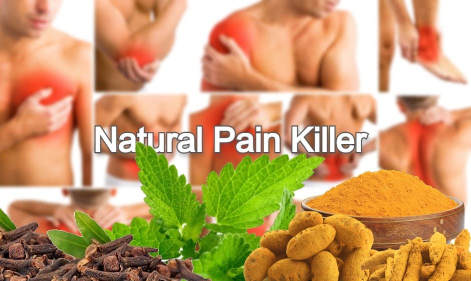 Natural Pain Killer: शरीर के इन हिस्सों के असहनिय दर्द से तुरंत राहत दिलाते है ये नेचुरल पेन किलर