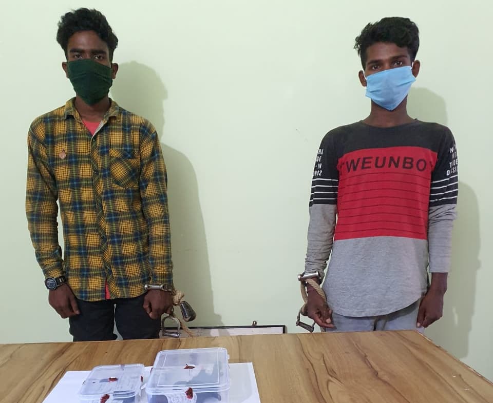 Jharkhand Breaking Updates: गुमला में दो नक्सली संगठनों के बीच भीषण मुठभेड़, सैकड़ों राउंड गोलियां चलीं