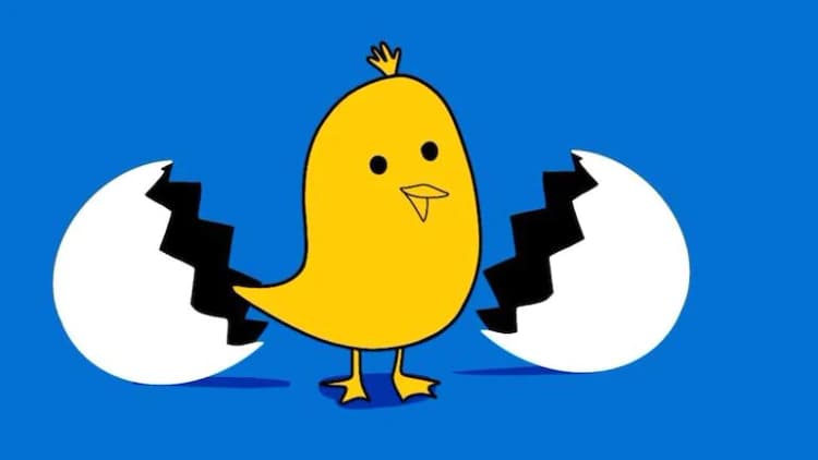 Koo और Google ने नये IT नियमों के तहत सौंपी अपनी रिपोर्ट, बताया शिकायतों पर क्या लिया एक्शन