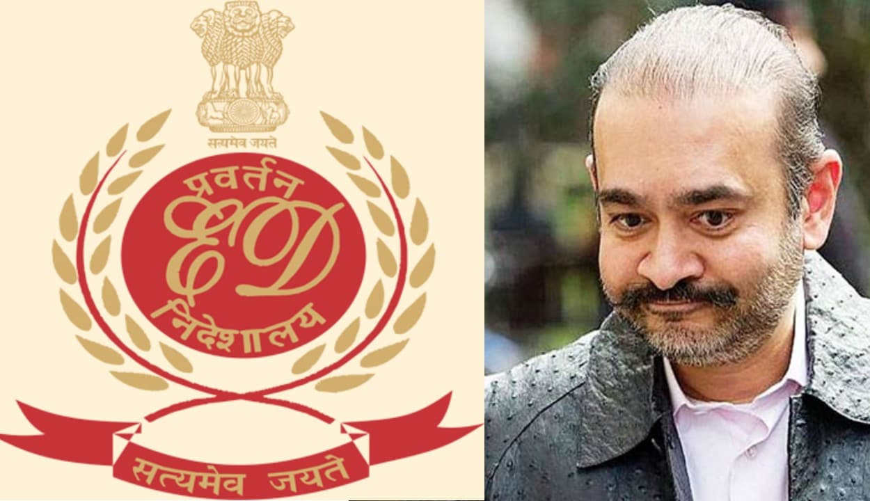 PNB Scam : नीरव मोदी की बहन पूर्वी ने भारत सरकार को भेजे 17.25 करोड़ रुपये, पति के साथ बनी सरकारी गवाह