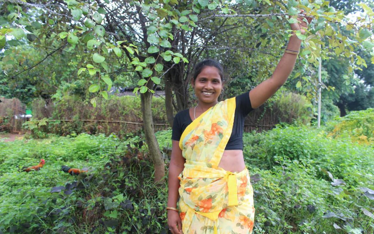 गिरिडीह : नयी तकनीक से करें तसर की खेती, होगा आर्थिक लाभ, तीन दिवसीय प्रशिक्षण शिविर शुरू