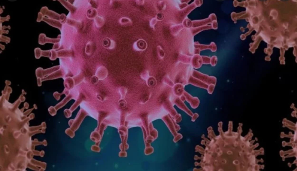 Omicron Death : भारत में ओमिक्रॉन वेरिएंट से महाराष्ट्र में पहली मौत, नाइजीरिया से लौटा था पिंपरी-चिंचवड़