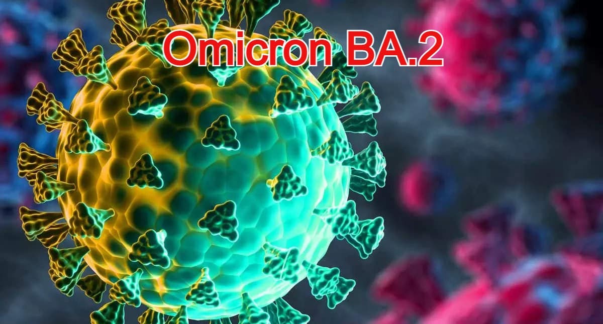 Omicron BA.2: भारत में कोरोना की चौथी लहर का खतरा! जान लें  कितना खतरनाक है Omicron BA.2 और इसके लक्षण
