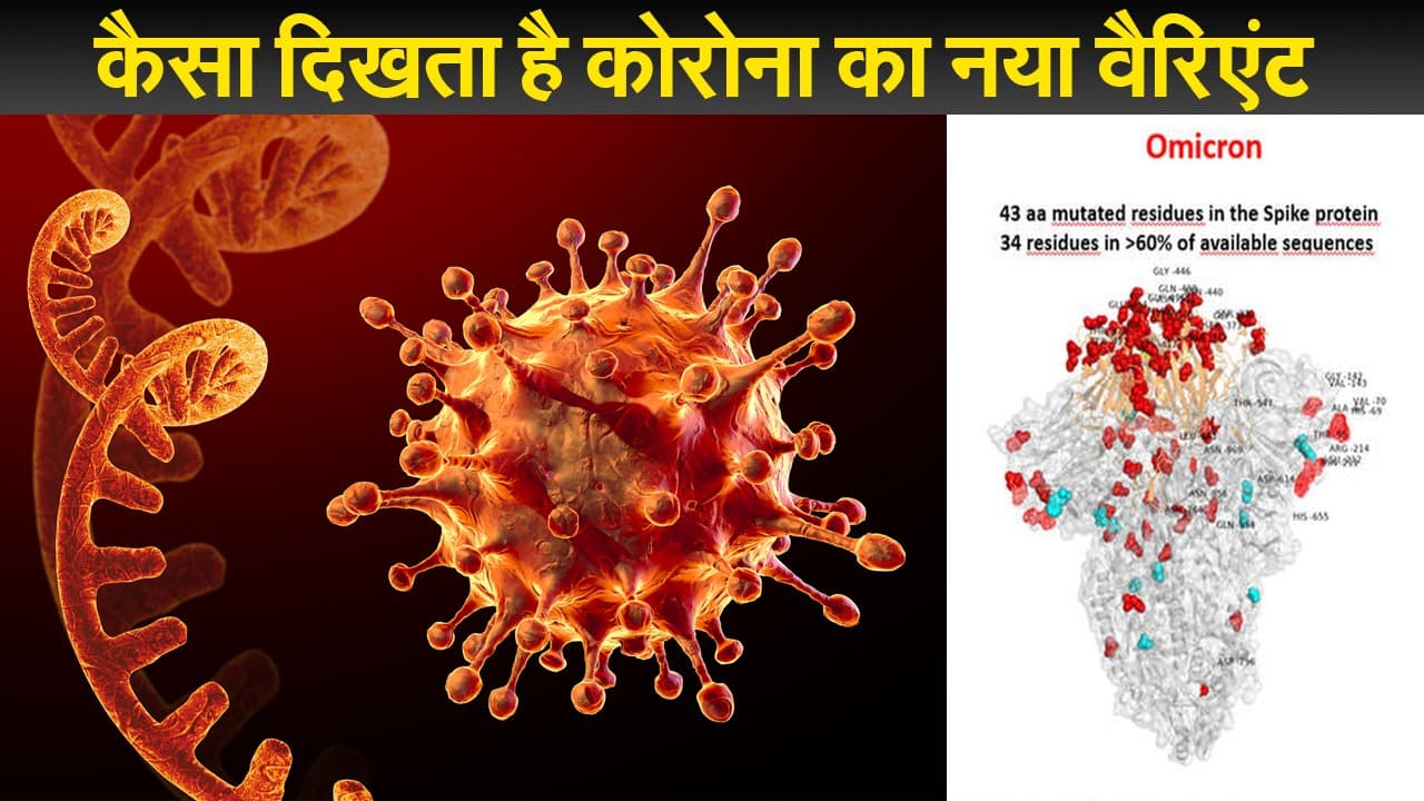 कैसा दिखता है कोरोना का नया वैरिएंट ? कर्नाटक और महाराष्ट्र में फैला डर