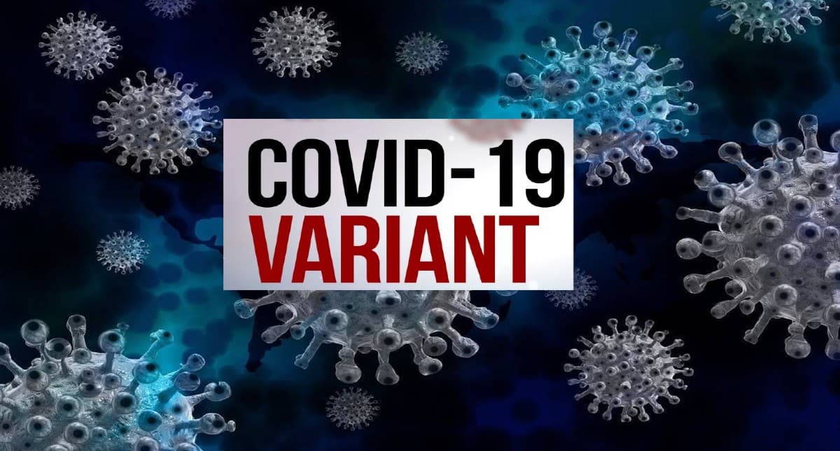 Omicron Variant of Corona: कोरोना के नए वेरिएंट ओमीक्रोन की ऐसे  होती है जांच, जानें सबकुछ