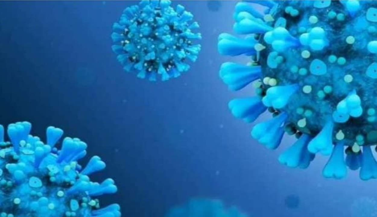 कोरोना के ओमिक्रॉन और डेल्टा वेरिएंट में सबसे अधिक खतरनाक कौन? जानिए क्या कहते हैं दुनिया भर के एक्सपर्ट