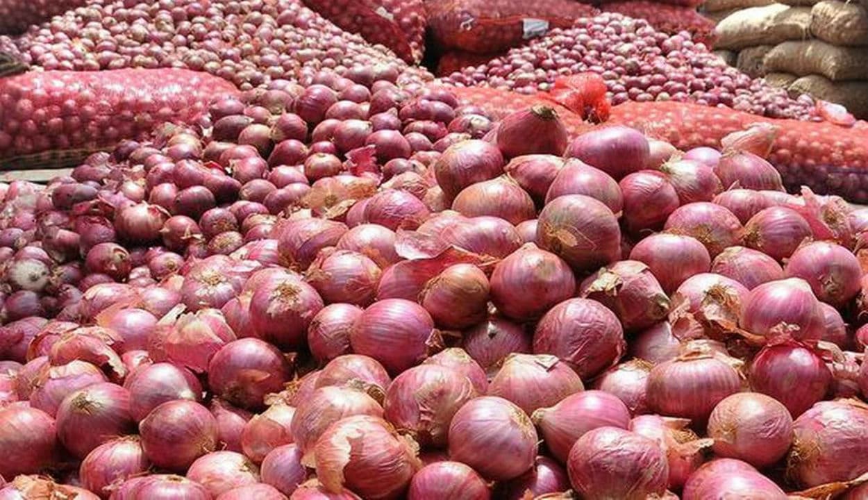 Onion Price : रंग ला रही है सरकार की कोशिश, इस हफ्ते प्याज के भाव में नहीं हुआ बड़ा इजाफा