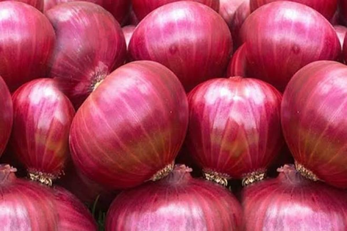 बांग्लादेश में एक दिन में 20 टका महंगा हुआ प्याज, भारत के निर्यातक सरकार से मांग रहे थोड़ी रियायत