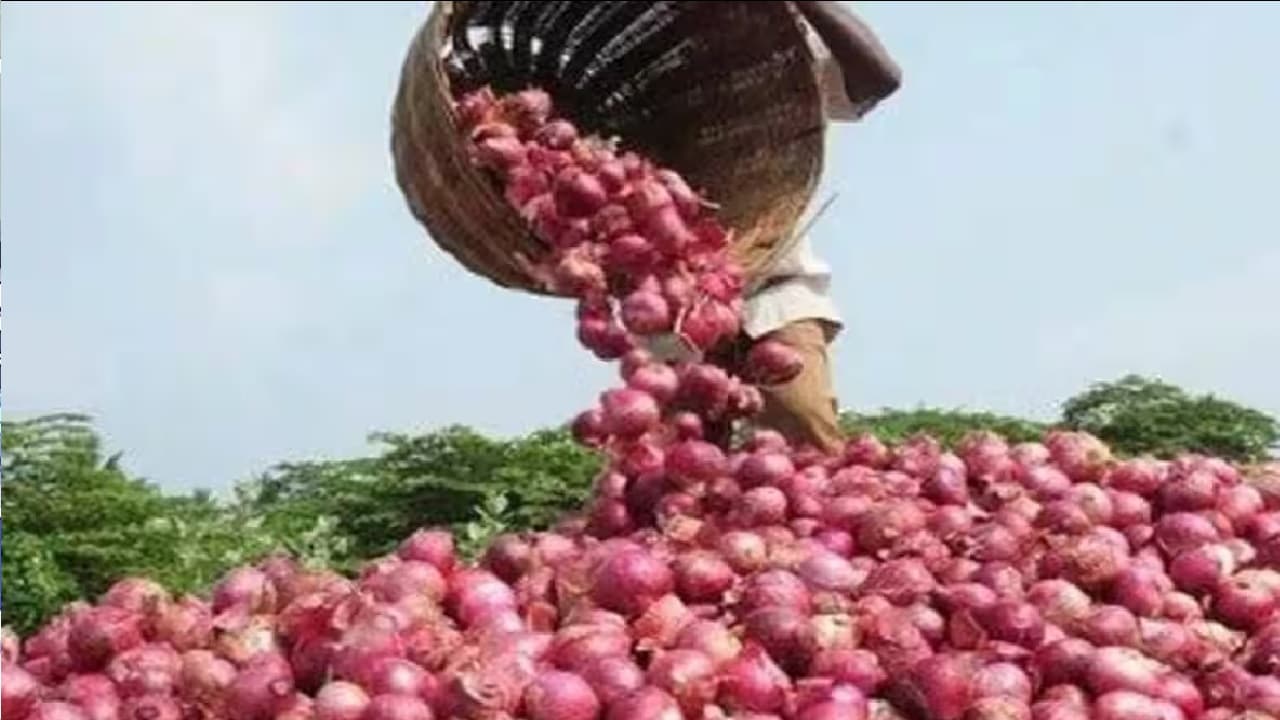 Onion Price : प्याज ने रुलाया! मोदी सरकार ने लिया अहम फैसला, जानें कब कम होगी कीमत