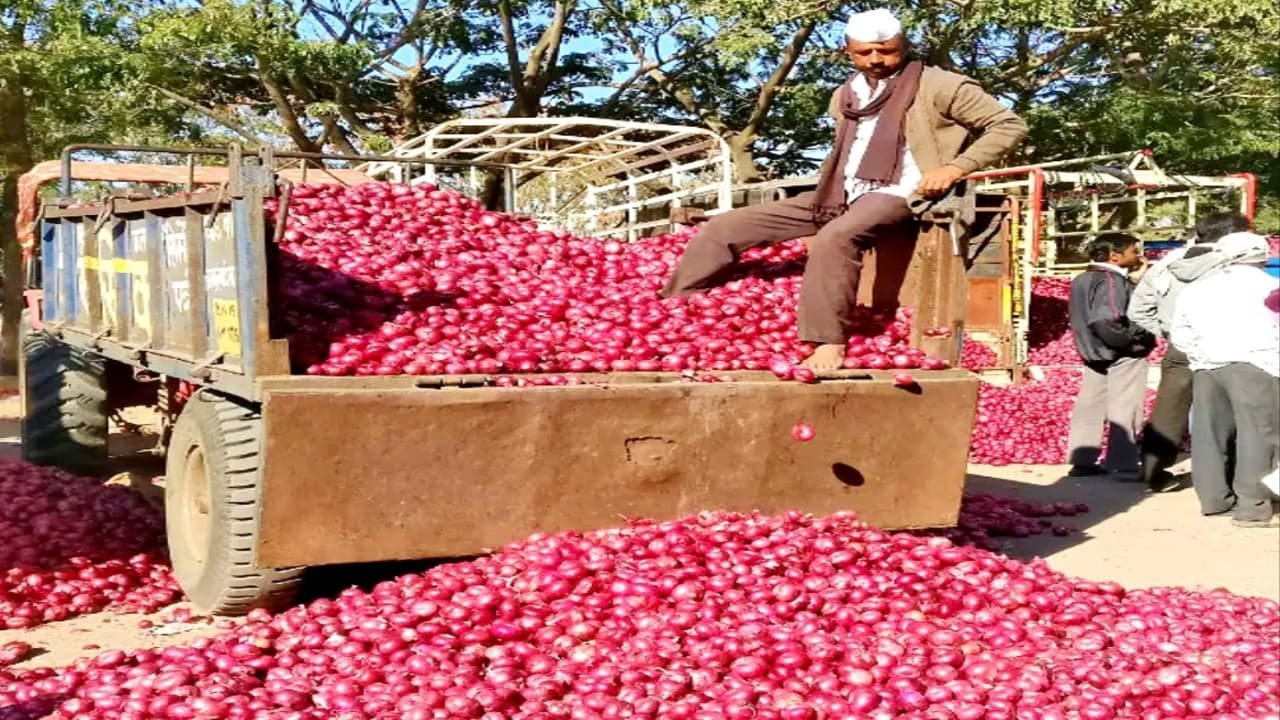Onion Price Hike: इस दिवाली महंगे प्याज की टेंशन दूर, यहां मिलेगा केवल 25 रुपये किलो, देखें अपडेट